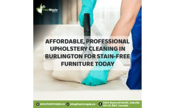 Affordable, Professional Upholstery Cleaning