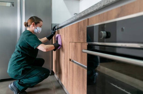 Kitchen Deep Cleaning Services