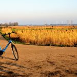 Golden Triangle India